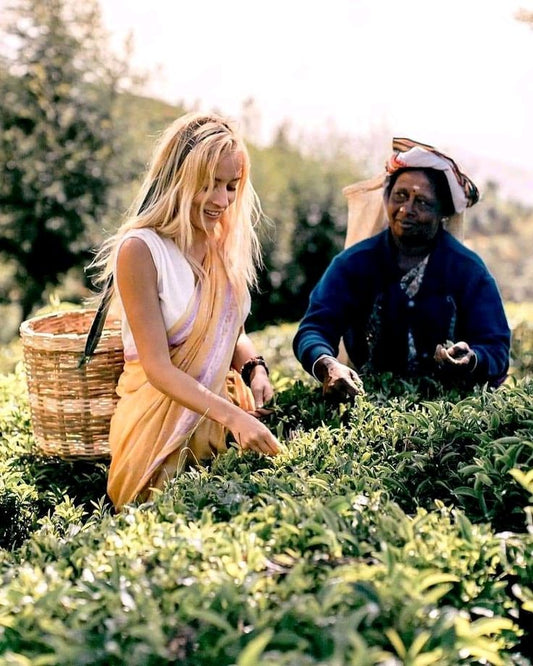 Discover Sri Lanka’s Tea Country: Nuwara Eliya and Beyond