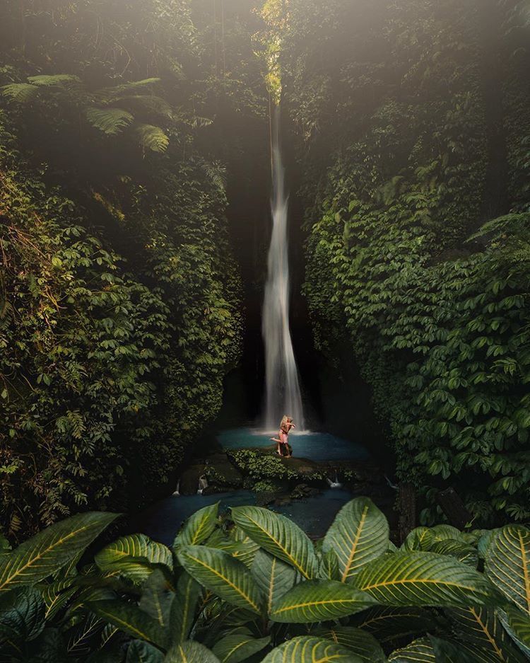 DOLPHINS+WATERFALLS+TEMPLE experience