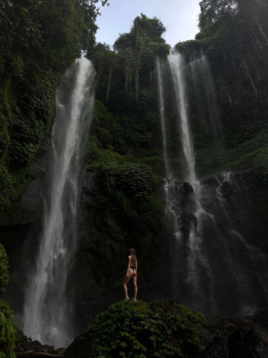 DOLPHINS+WATERFALLS+TEMPLE experience