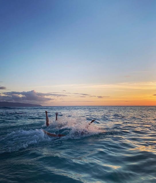 SUNSET+CORAL REEF+BIOLUMINESCENT experience