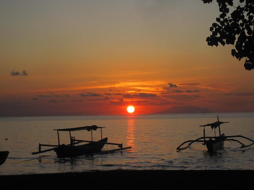 SUNSET+CORAL REEF+BIOLUMINESCENT experience