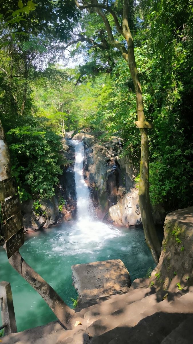DOLPHINS+WATERFALLS+TEMPLE experience