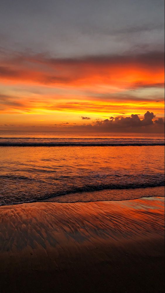 SUNSET+CORAL REEF+BIOLUMINESCENT experience