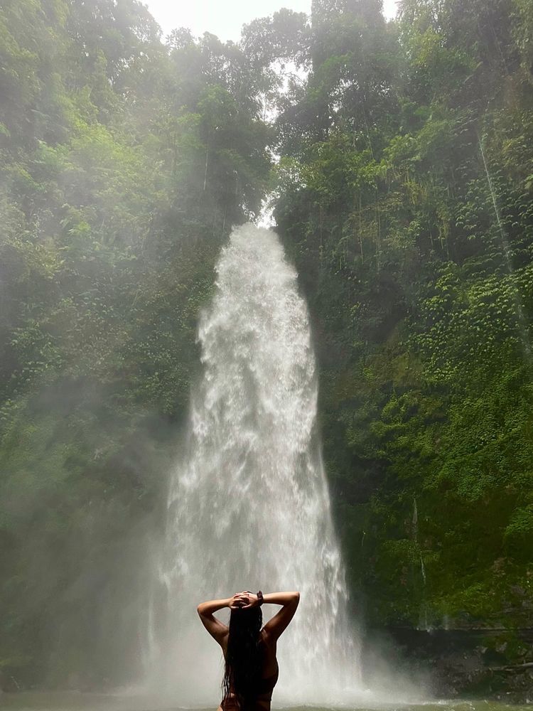 DOLPHINS+WATERFALLS+TEMPLE experience