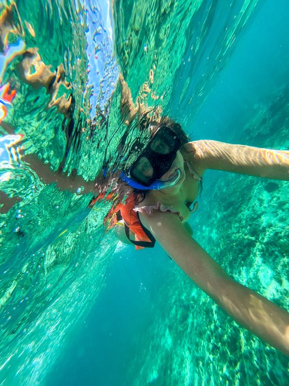 SUNSET+CORAL REEF+BIOLUMINESCENT experience