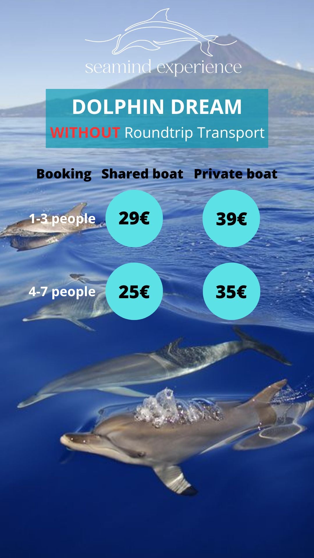 DOLPHIN experience