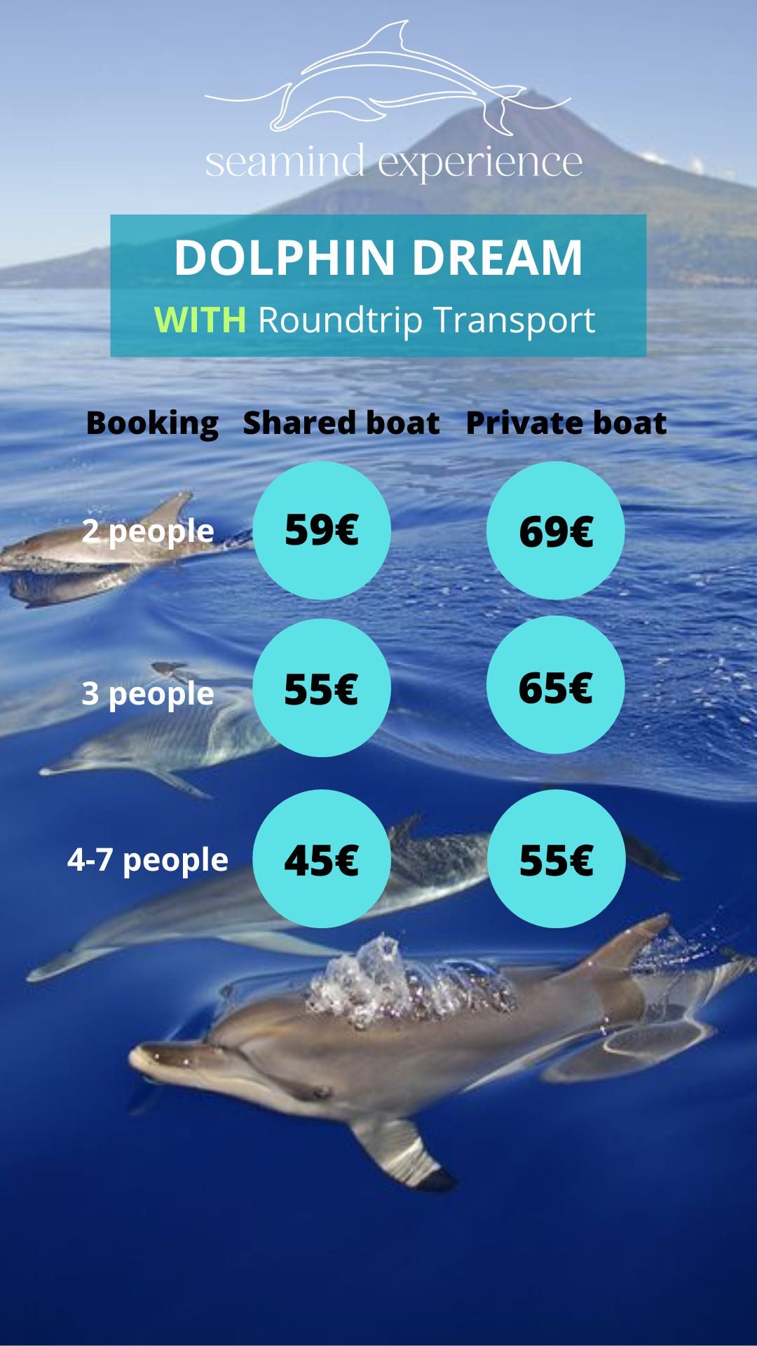 DOLPHIN experience