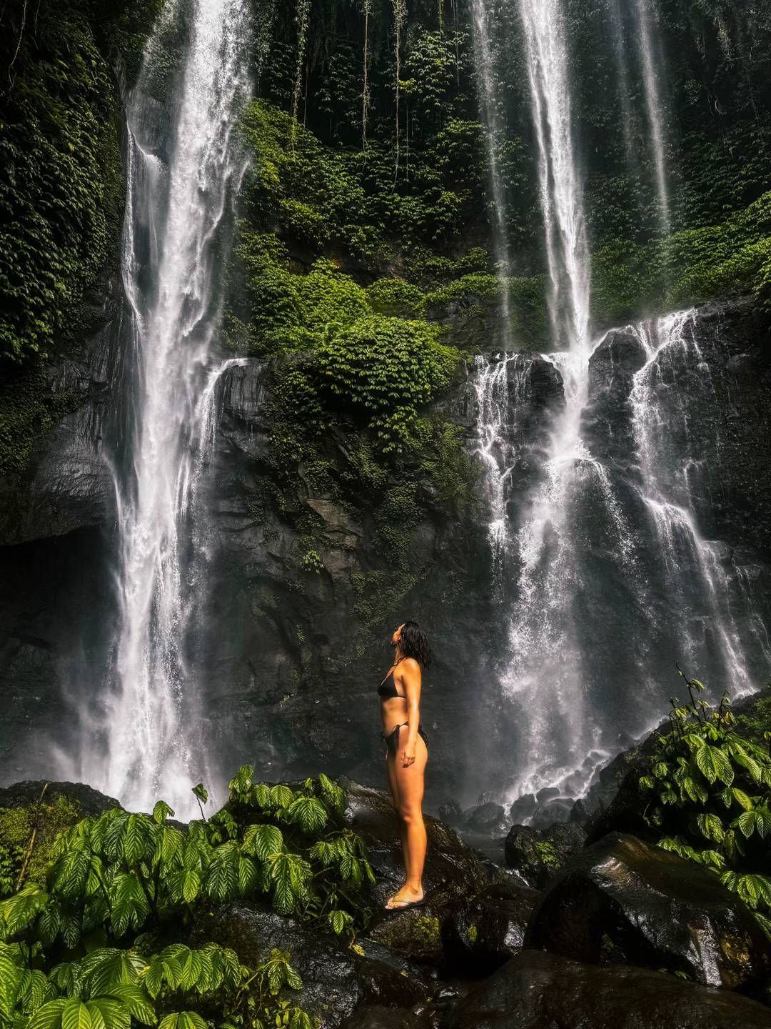 DOLPHINS+WATERFALLS+TEMPLE experience