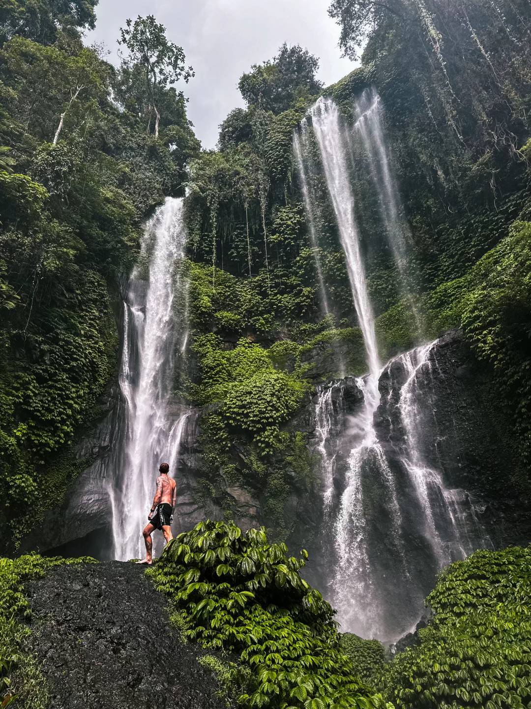 DOLPHINS+WATERFALLS+TEMPLE experience