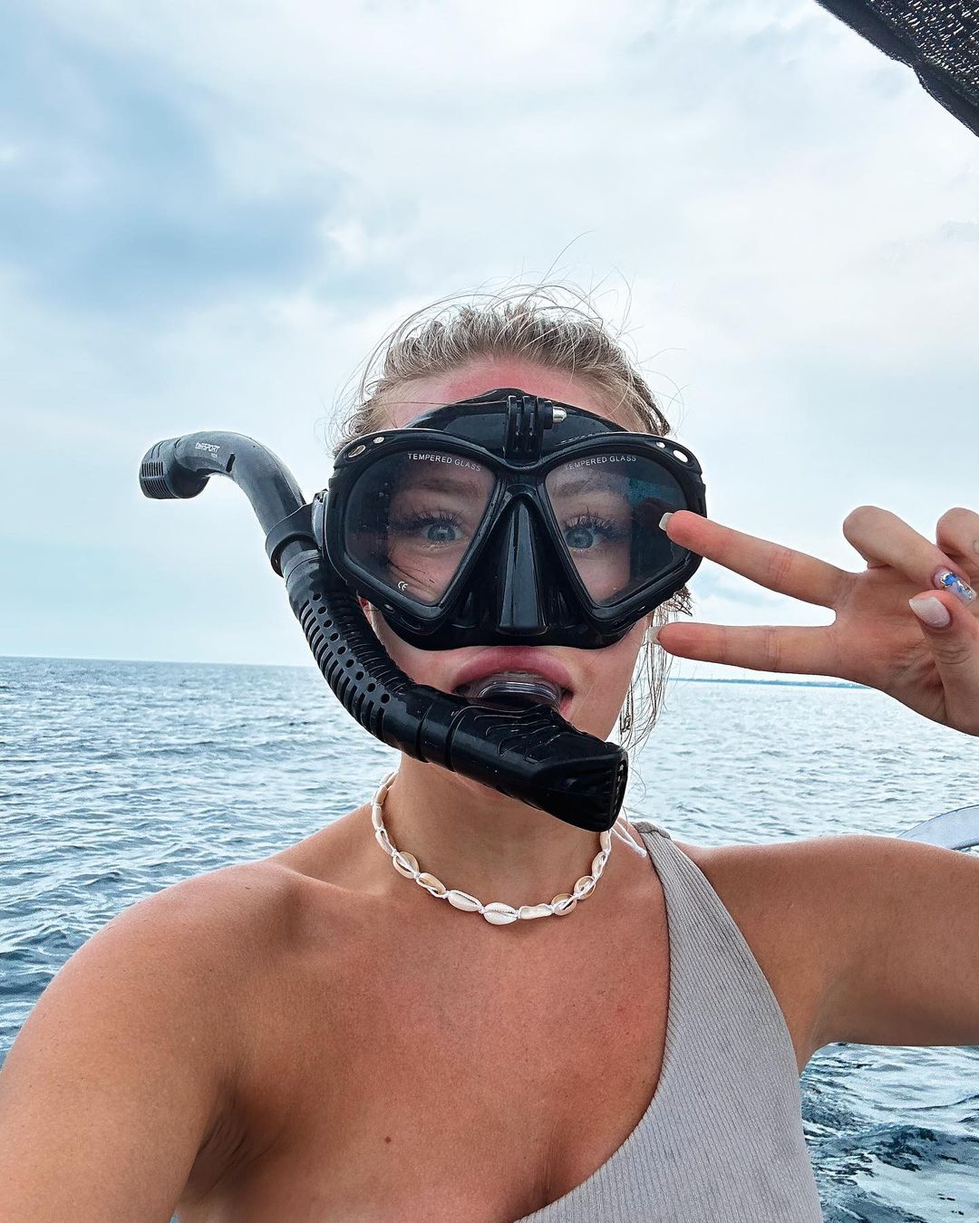DOLPHIN experience