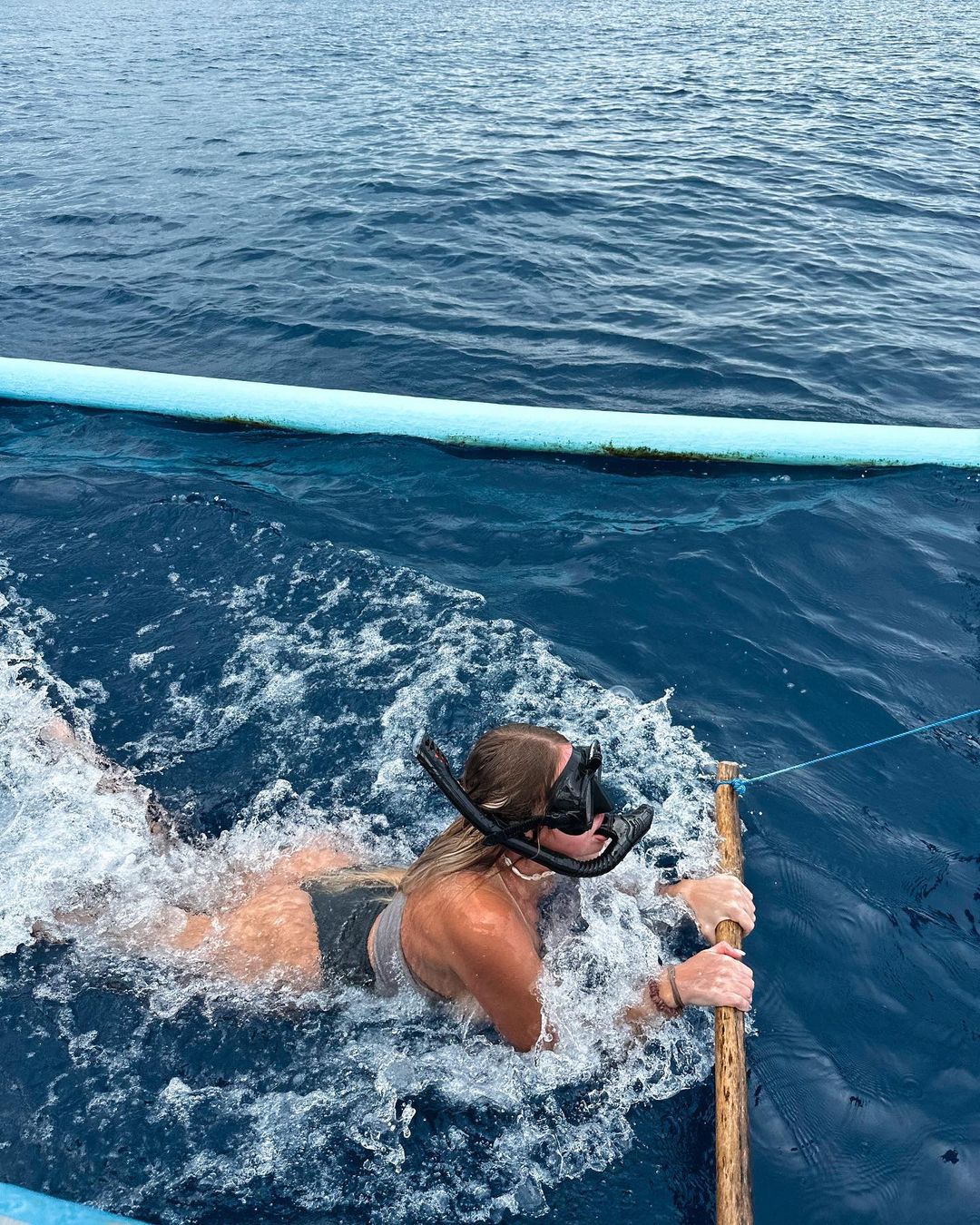 DOLPHIN experience