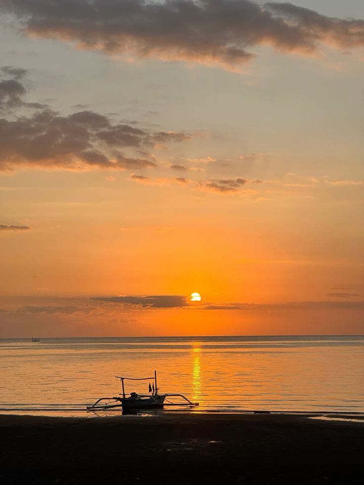 SUNSET+CORAL REEF+BIOLUMINESCENT experience