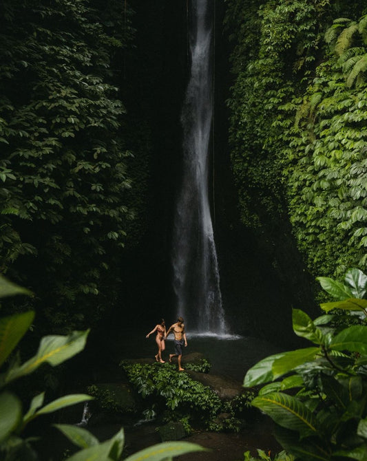 DOLPHINS+WATERFALLS+TEMPLE experience