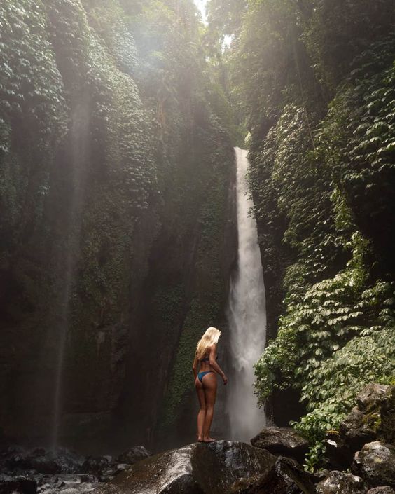 DOLPHINS+WATERFALLS+TEMPLE experience