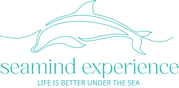 Seamind experience