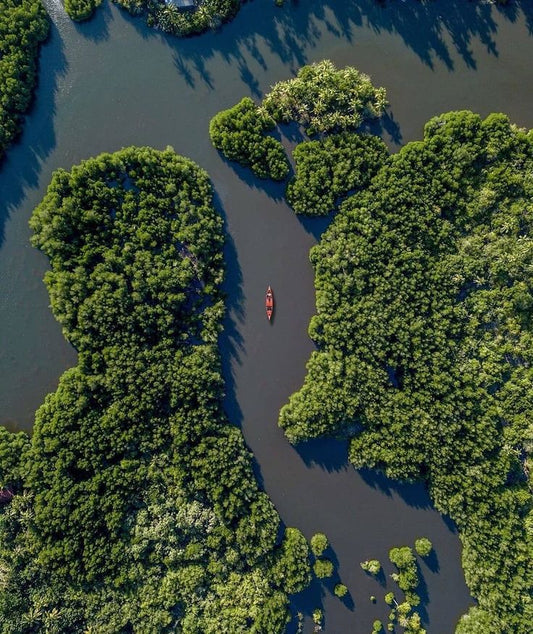 Explore Koggala Lake and its Unique Islands: A Hidden Treasure in Sri Lanka