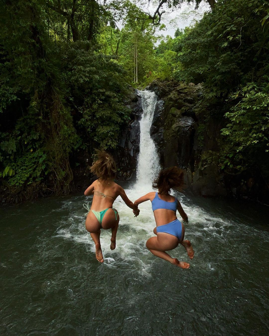 Experiencia con DELFINES + CASCADAS/TEMPLO