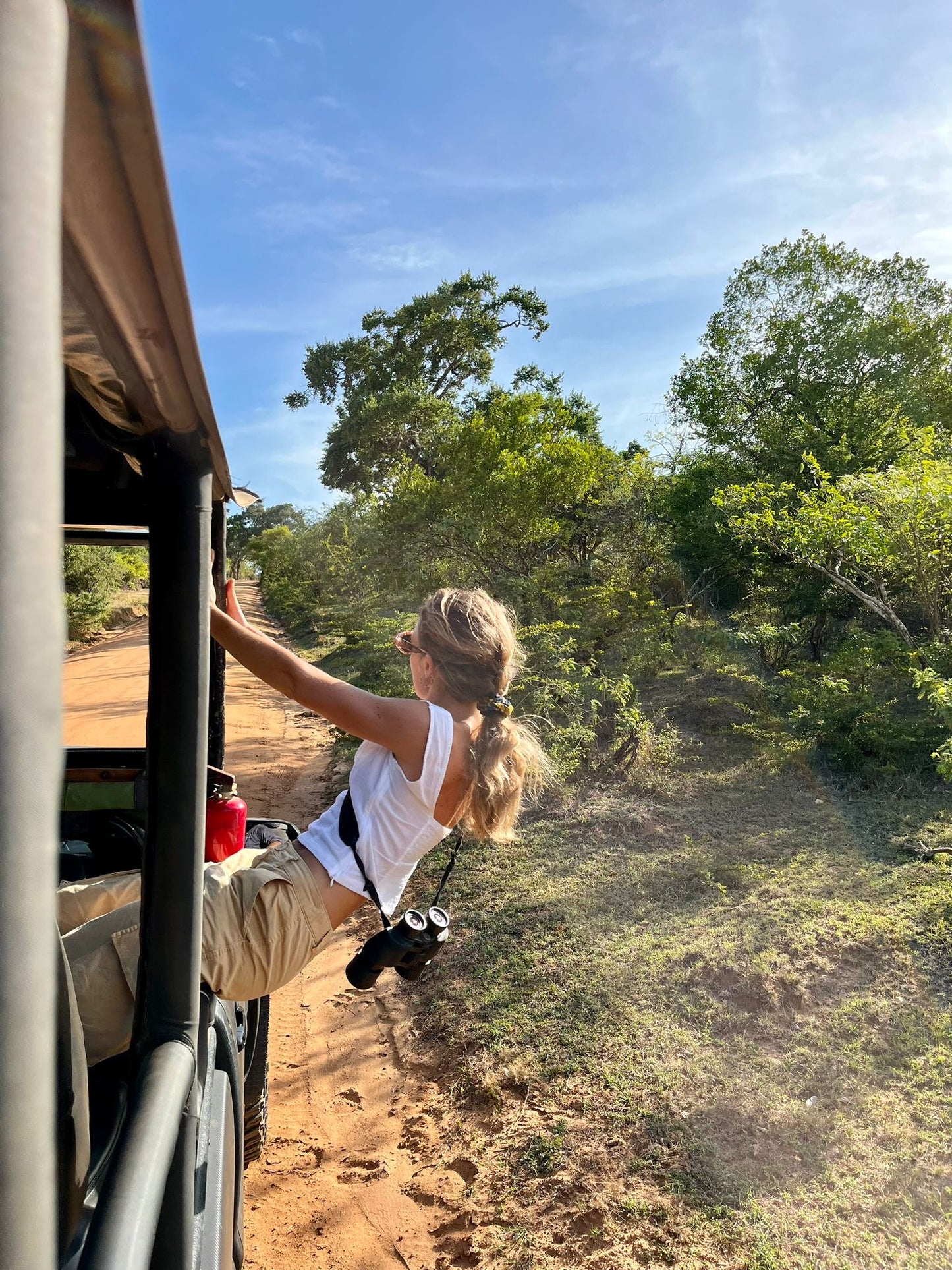 SAFARI en todos los Parques Nacionales