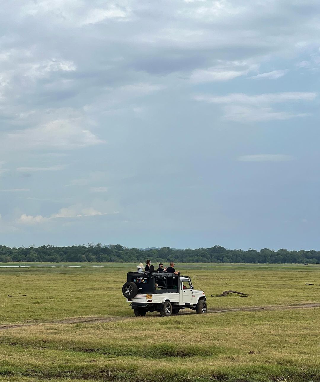 SAFARI en todos los Parques Nacionales