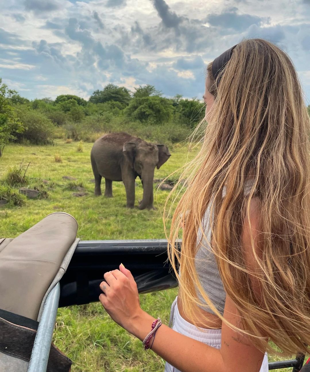 SAFARI en todos los Parques Nacionales