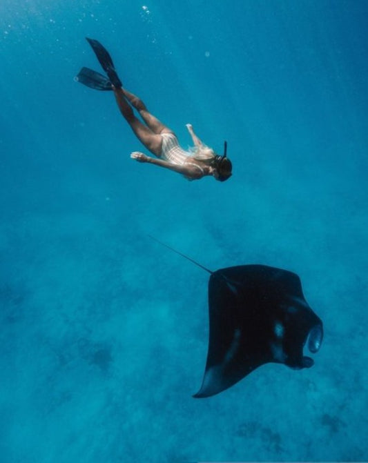 MANTARAY experience