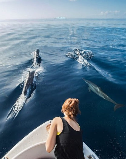 Experiencia con DELFINES