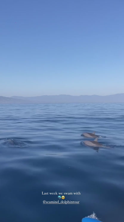 Experiencia con DELFINES