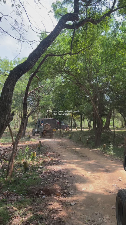 SAFARI en todos los Parques Nacionales