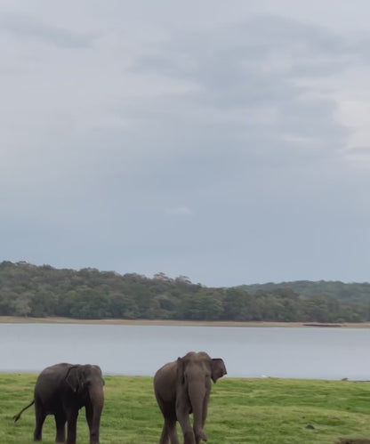 SAFARI en todos los Parques Nacionales