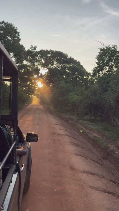 SAFARI en todos los Parques Nacionales