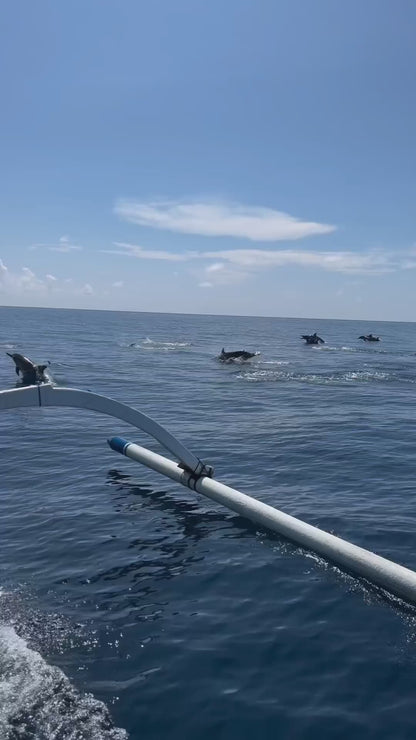 Experiencia con DELFINES